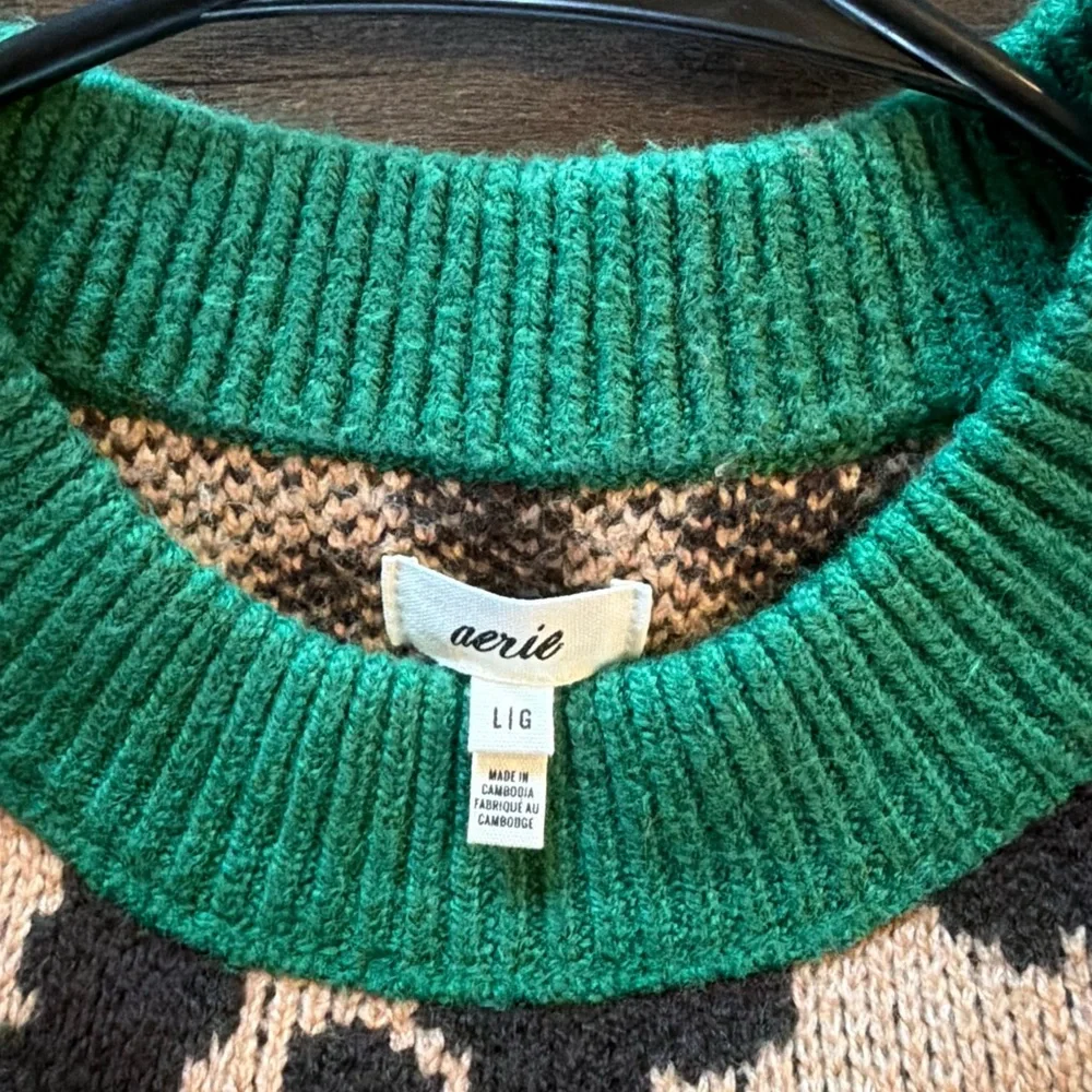 aerie Leopard-Print Knit Sweater with Green Ribbed Collar - Picture 2 of 2